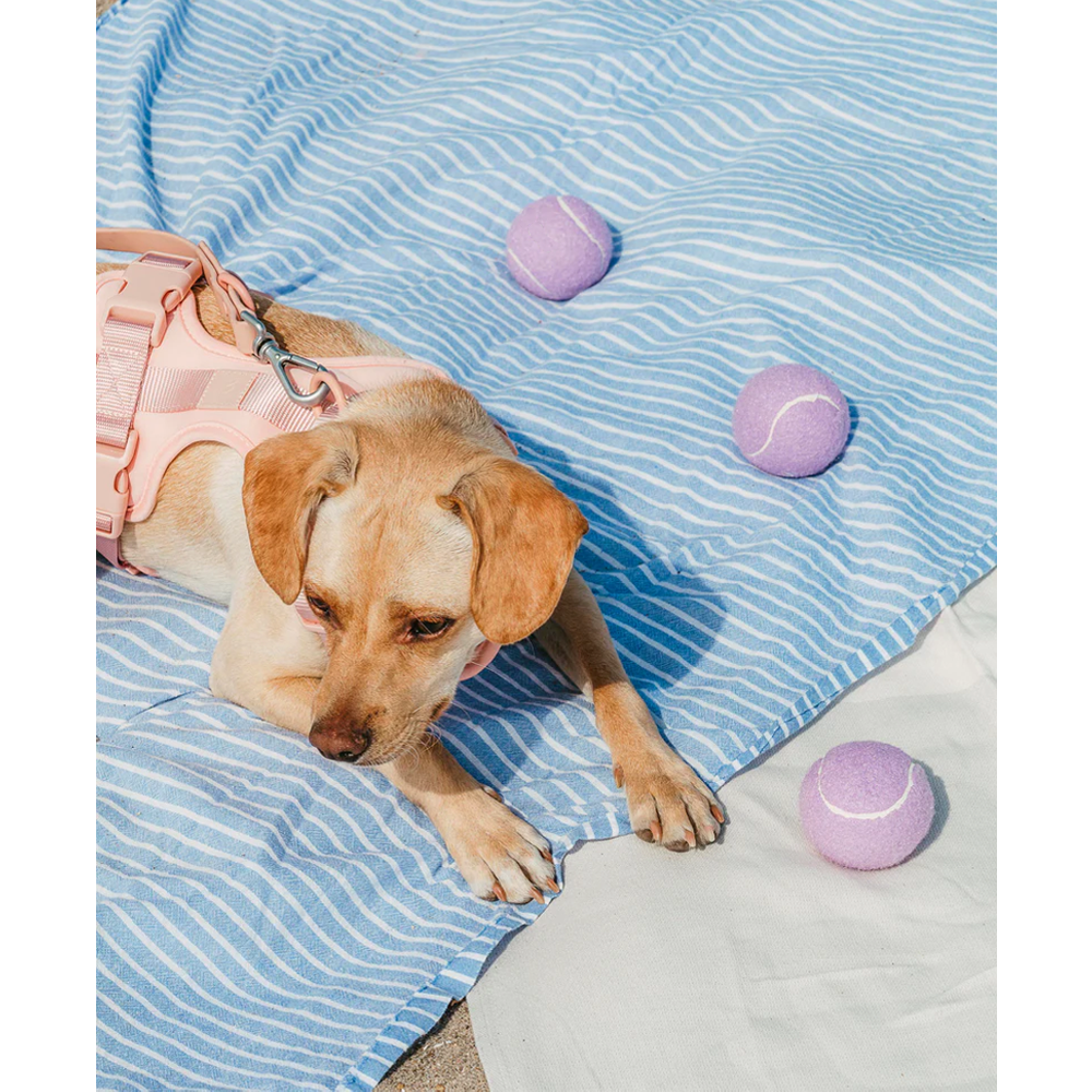 Tennis Ball Cup Dog Toy