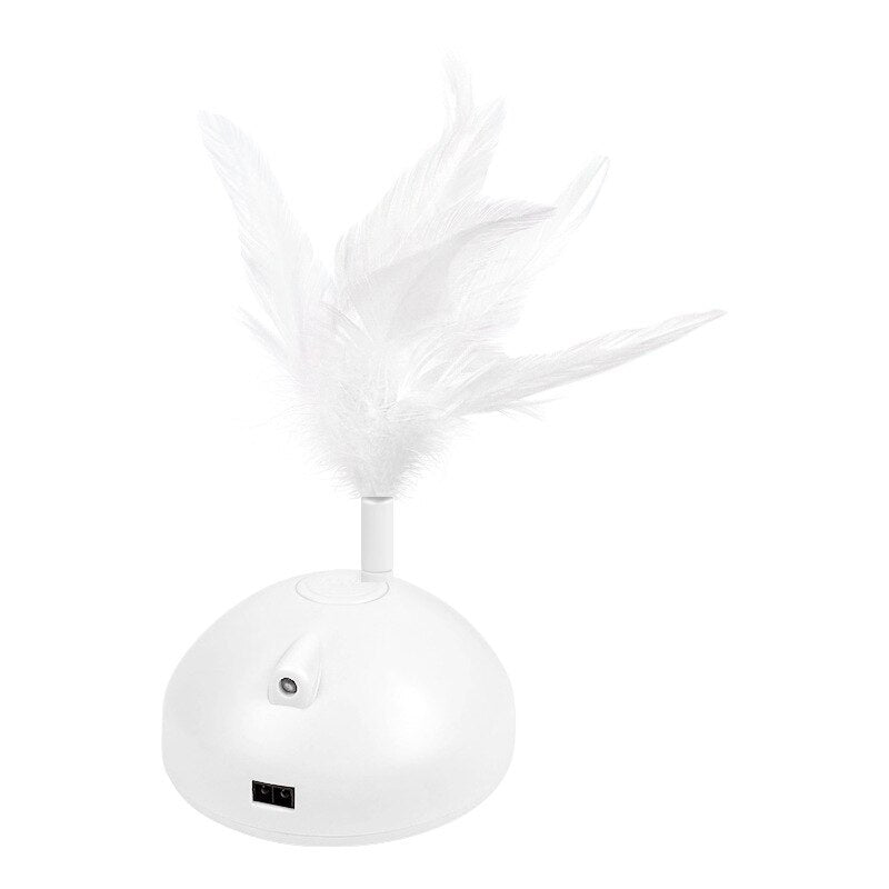 Roaming Cat toy with feather and laser