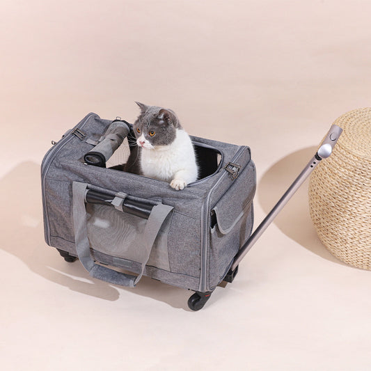 Pet Carrier Stroller
