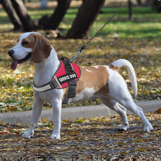 Velcro Patch Harness