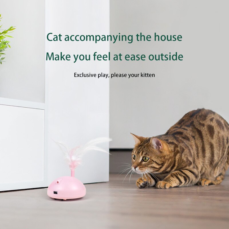 Roaming Cat toy with feather and laser