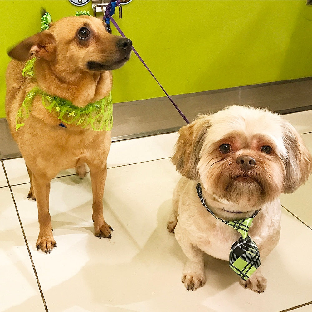 10pcs/Pack Pet Neck Tie