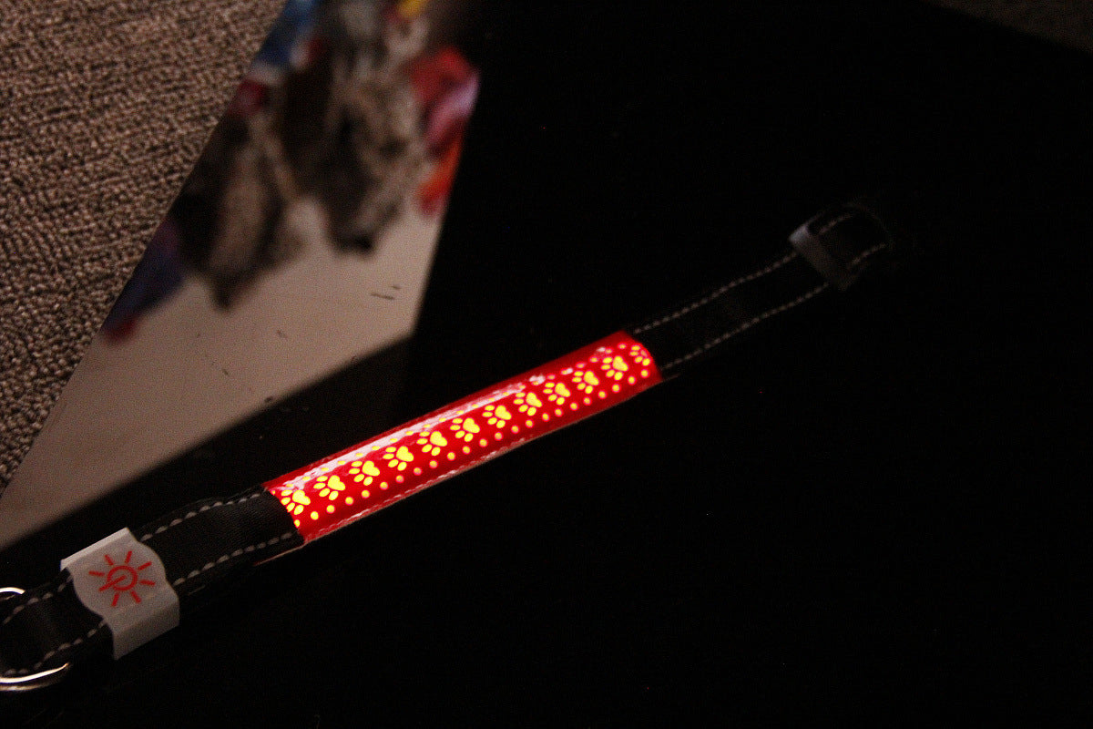 LED Rechargeable Collar