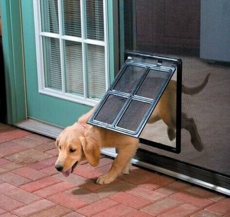 Pet Door for Screen Doors