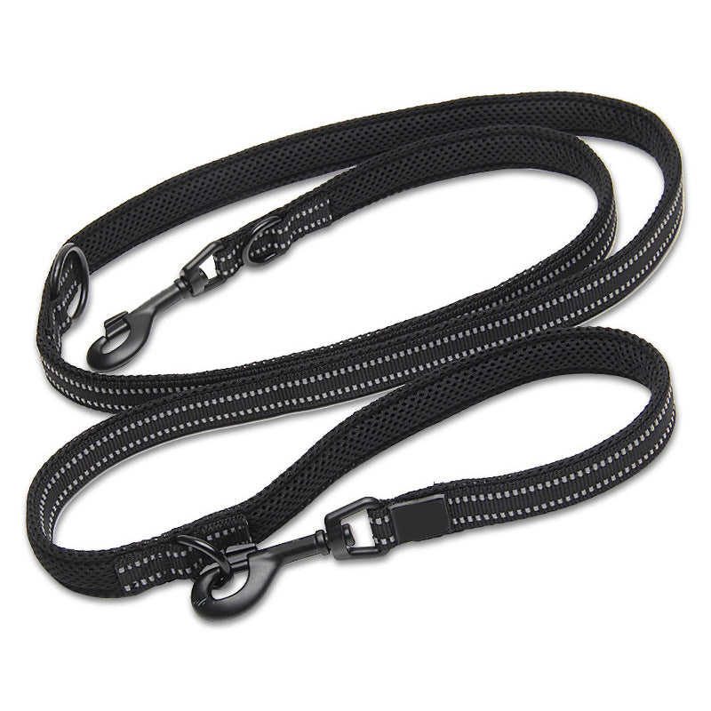 Multifunction Leash