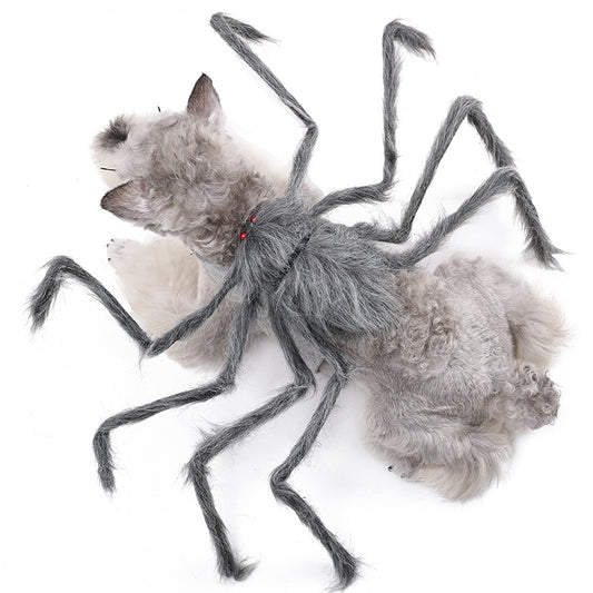 Spider Halloween Costume
