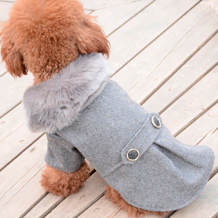 Winter Coat