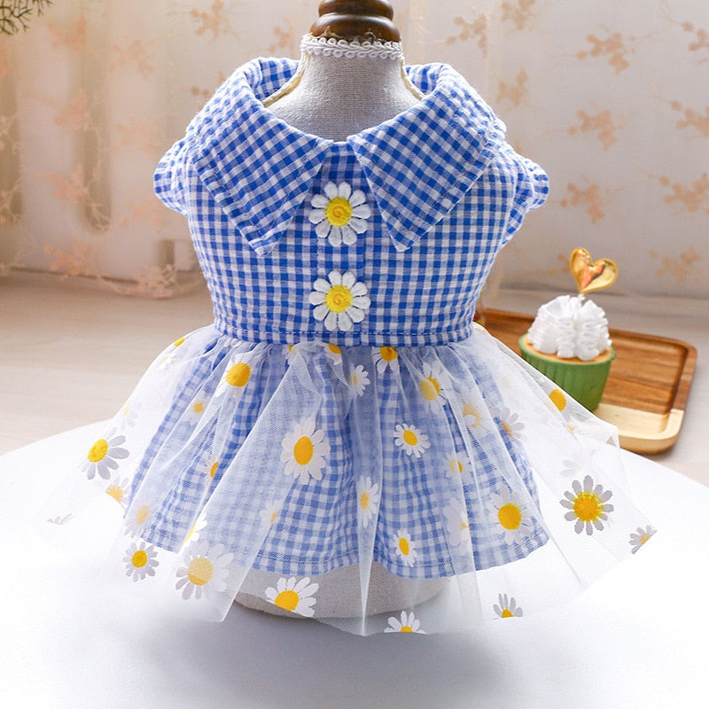 Summer Daisy Dress