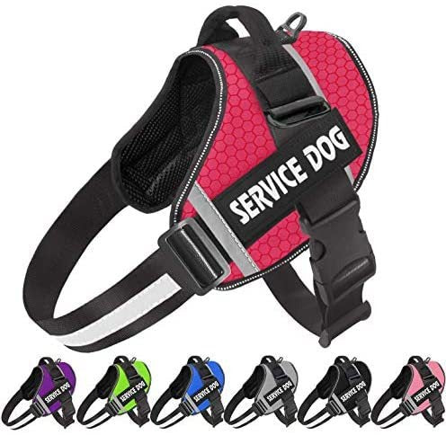 Velcro Patch Harness
