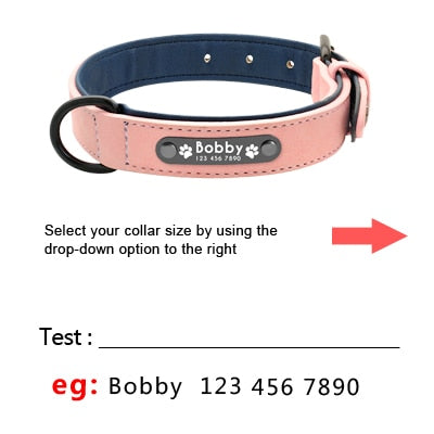 Personalized Leather Collar/Leash