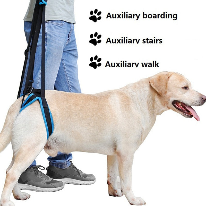 Back Leg Support Sling