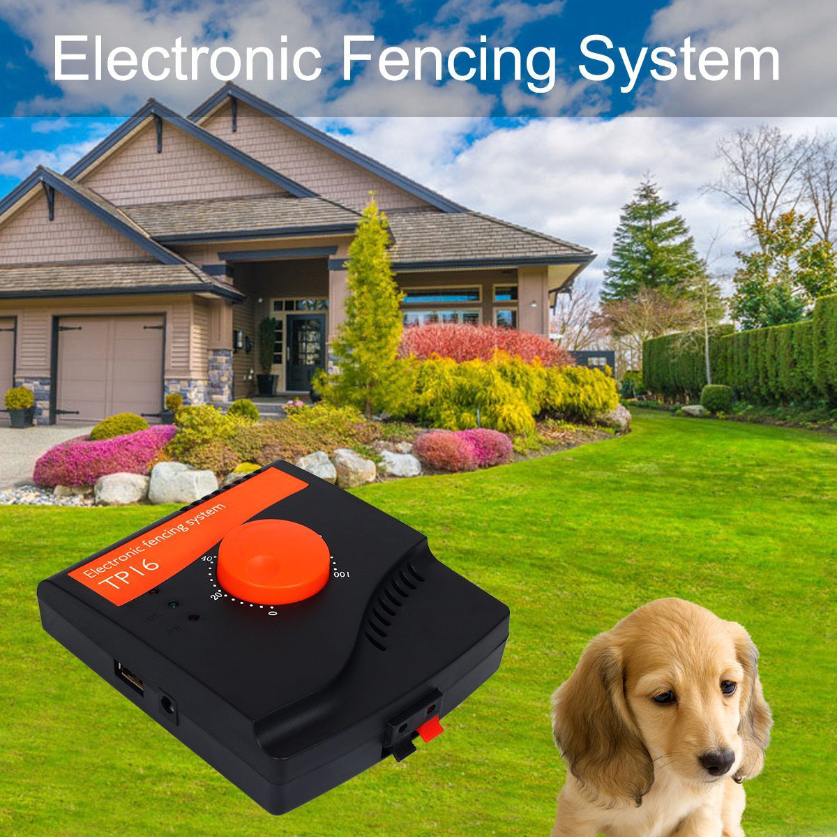 Electronic Underground Fence System