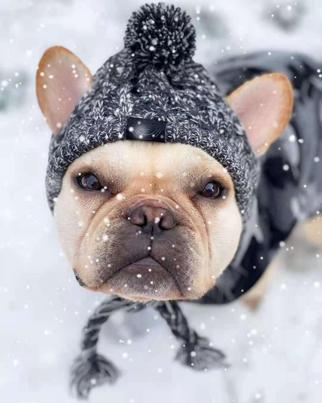 Winter PomPom Hat