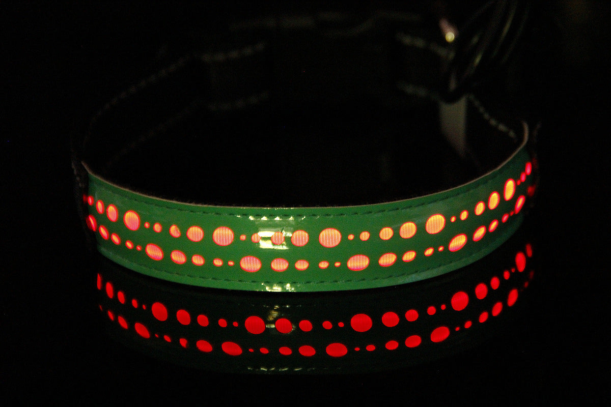 LED Rechargeable Collar