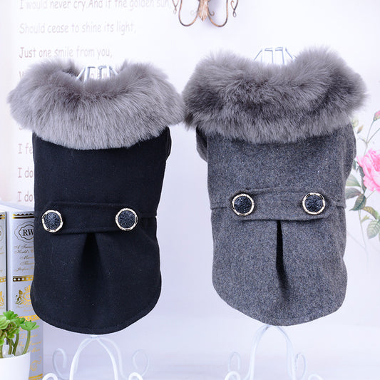 Winter Coat
