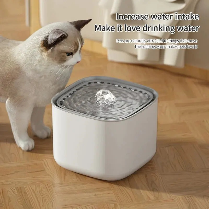 3L Water Fountain