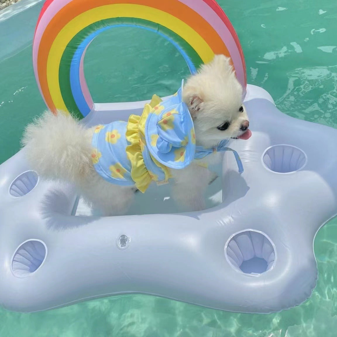 Pet Bikini