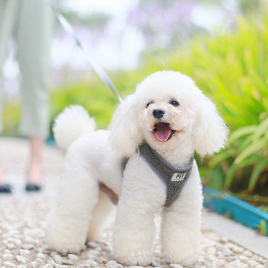 Soft Harness