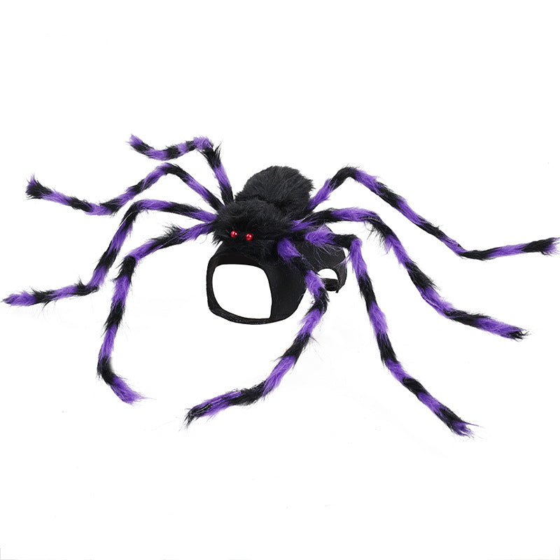 Spider Halloween Costume