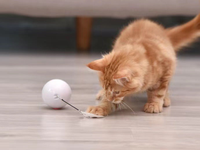 Automatic Rolling Cat Toy