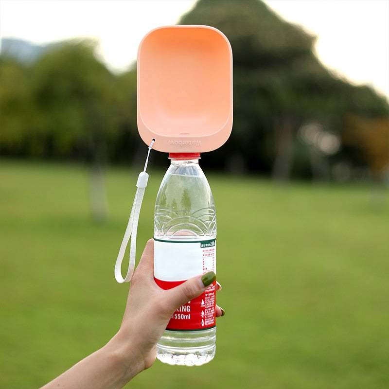 Screw On Water Bottle Bowl