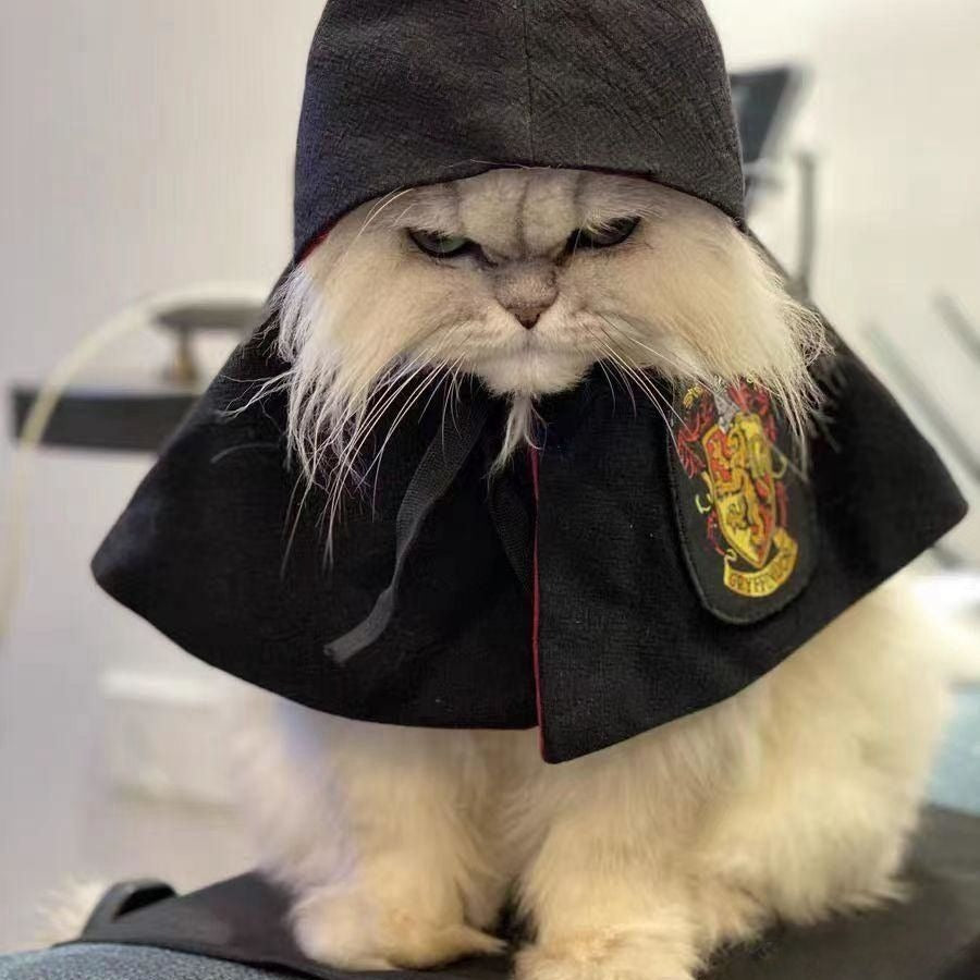 Wizard Halloween Costume