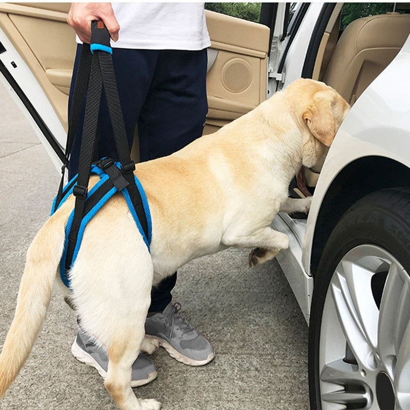 Back Leg Support Sling