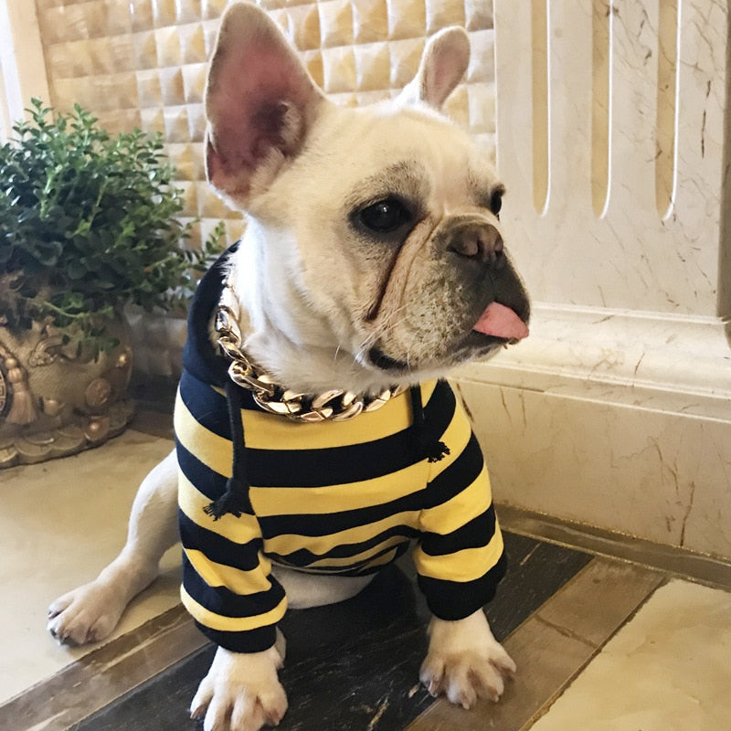 Striped Dog Hoodie