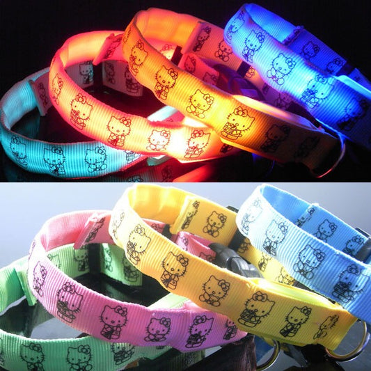 LED Collar