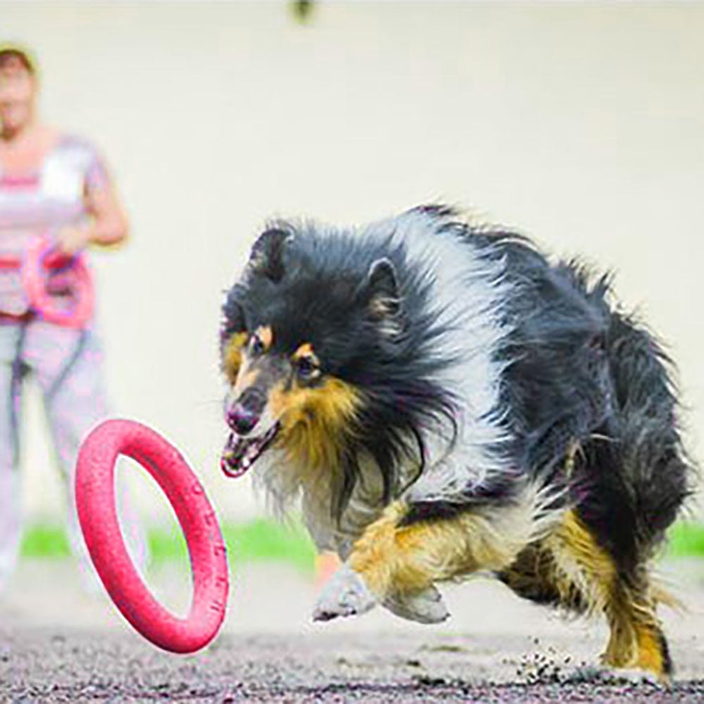 Flying Ring