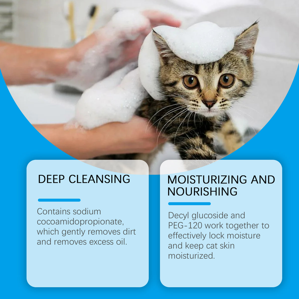 Cat dry shampoo