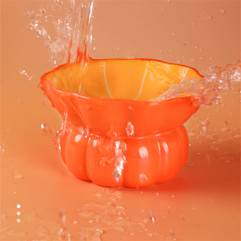 Ceramic Raised Food/Water Bowl