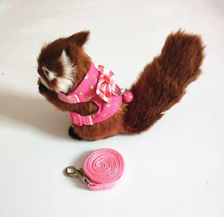 Small Animal Harness/Leash Set