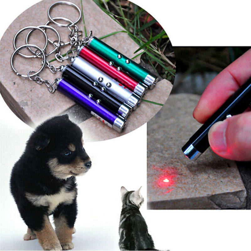 Laser Light Toy