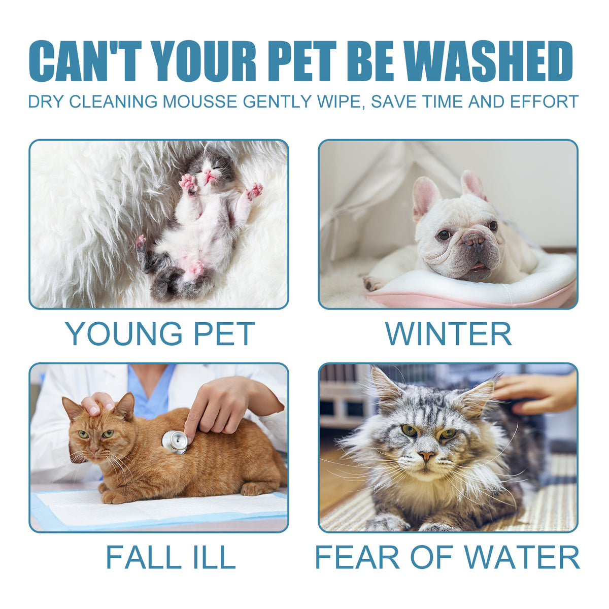 Dog/cat dry shampoo foam