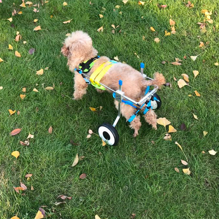 Lightweight 2 Wheel Dog Wheelchair