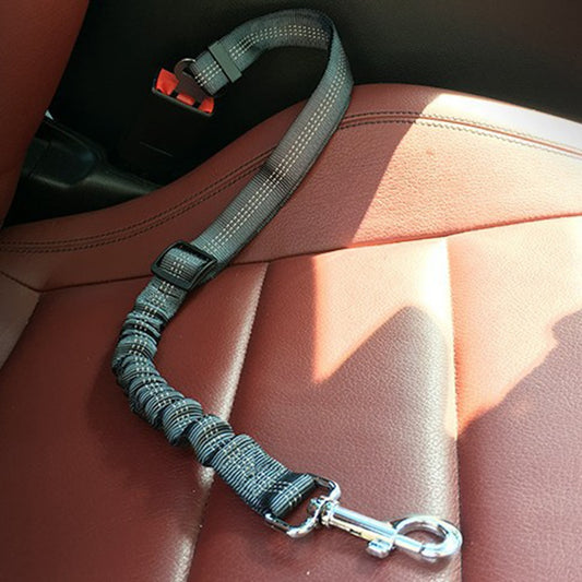 Car seatbelt tether