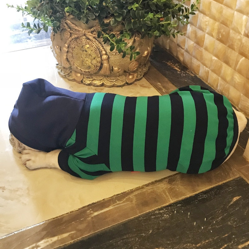 Striped Dog Hoodie