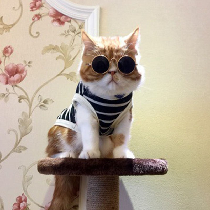 Pet Costume Glasses