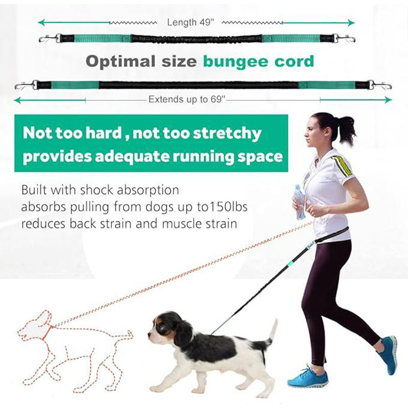 2 dog jogging waist leash