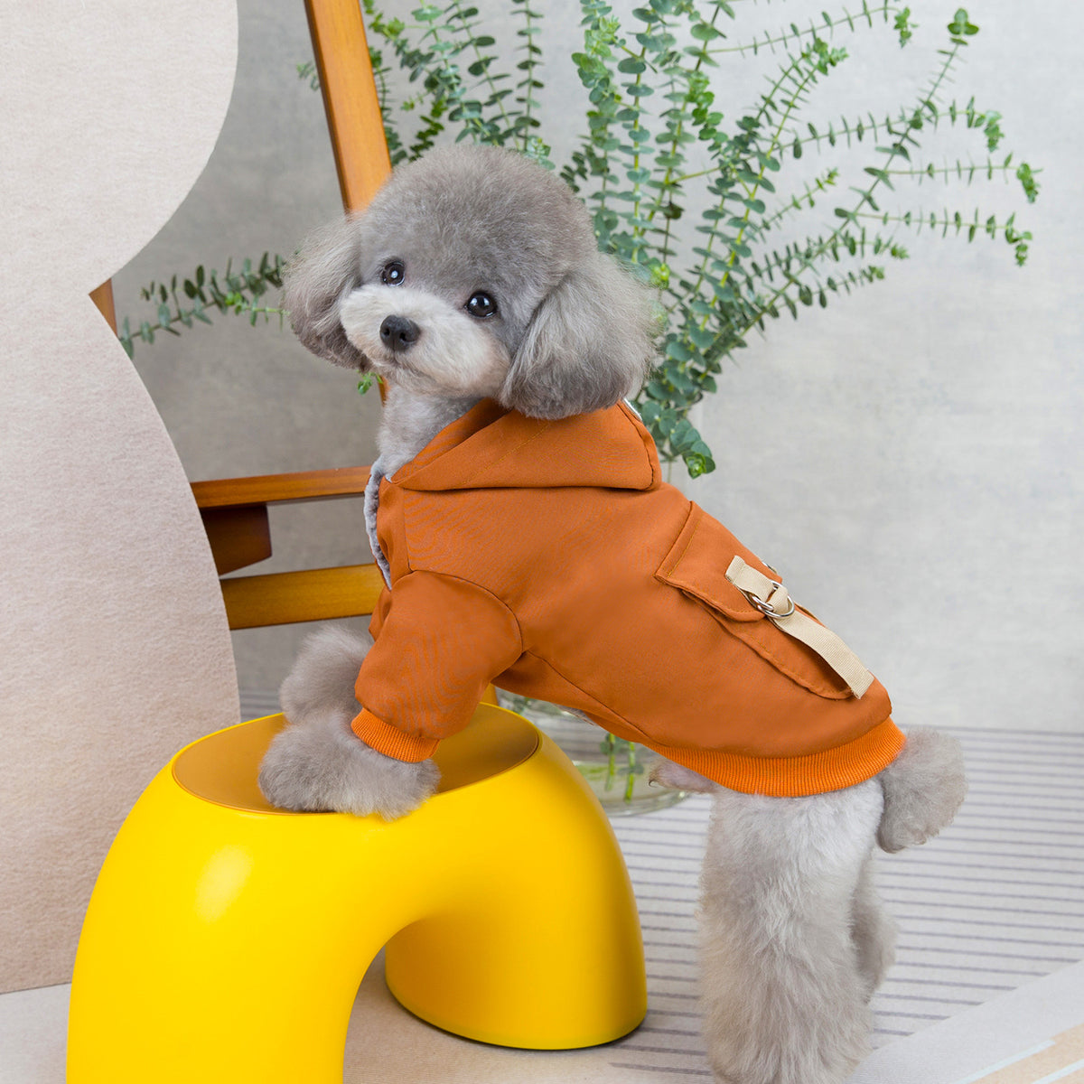 Harness hoodie