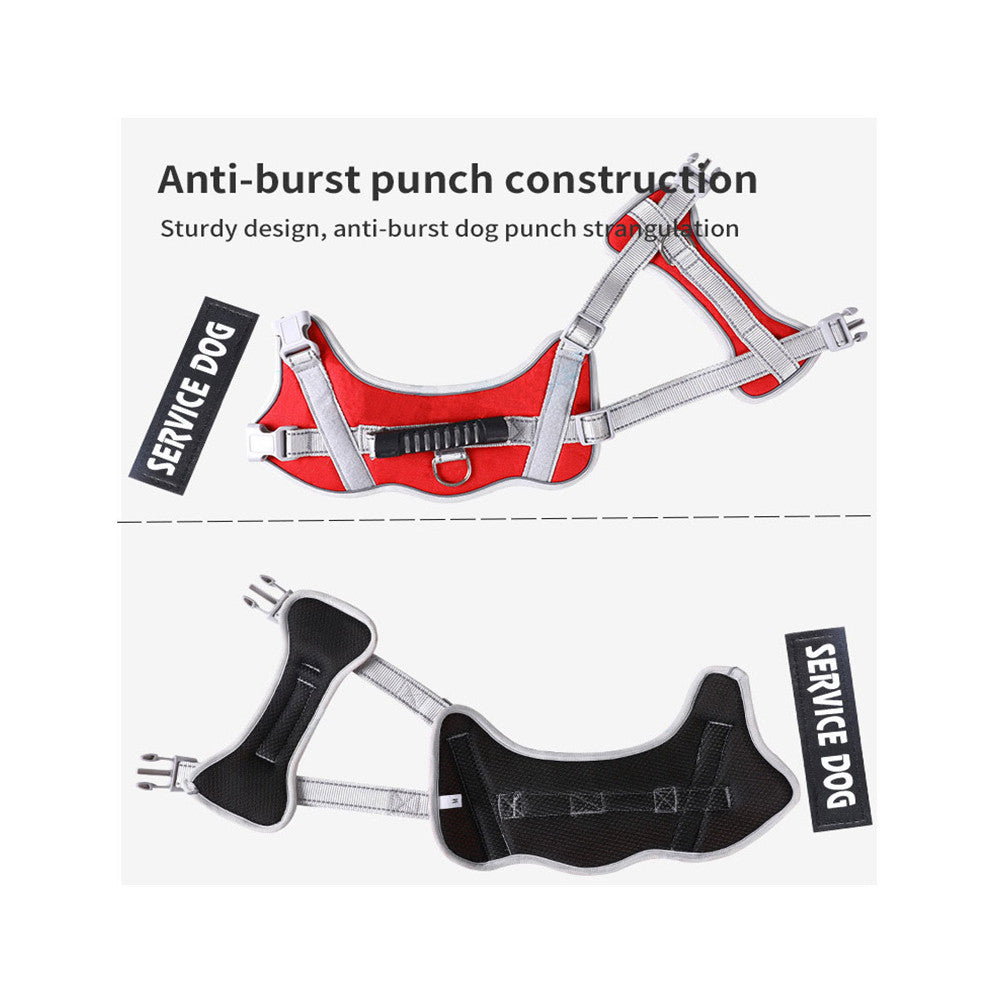 Velcro Patch Harness with and without Leash