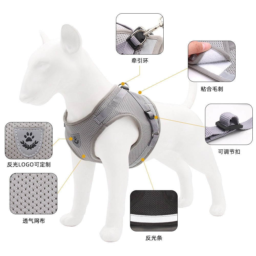 Harness/Leash Set