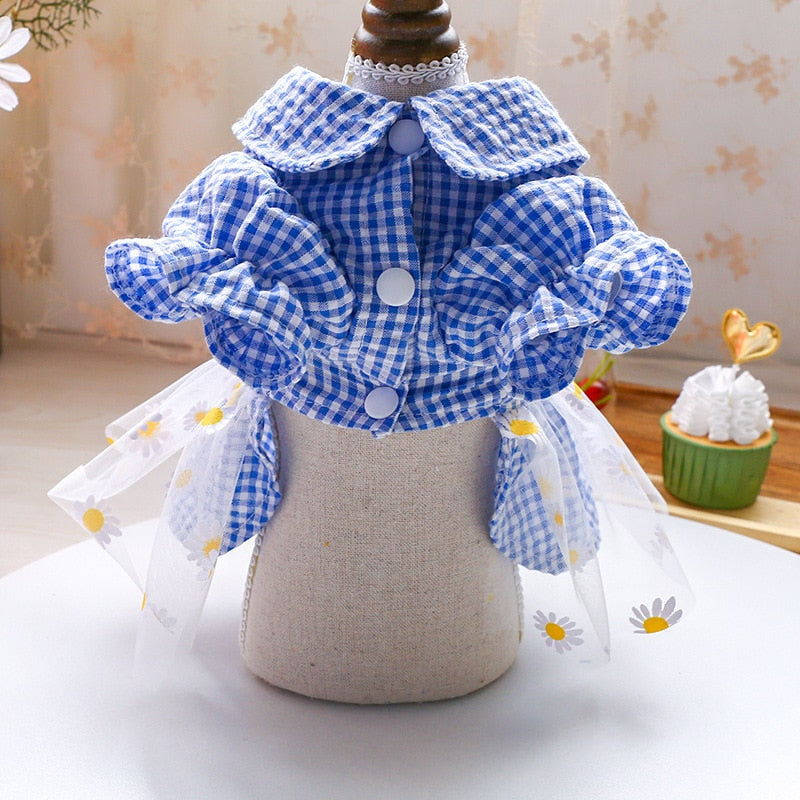 Summer Daisy Dress