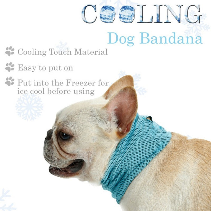 Summer Pet Cooling Bandana