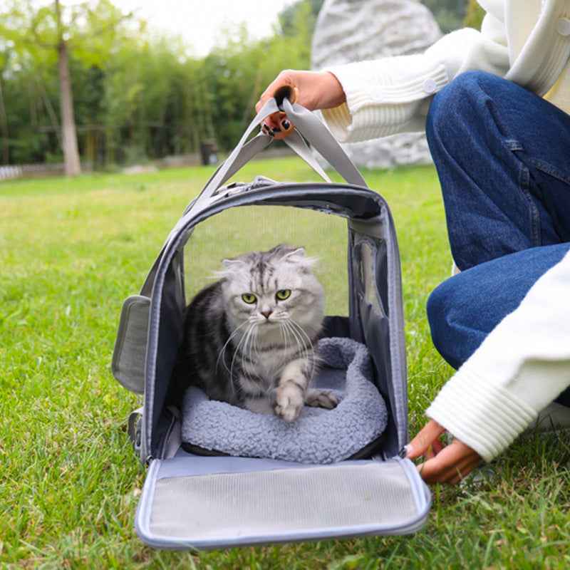 Cat/small dog carrier