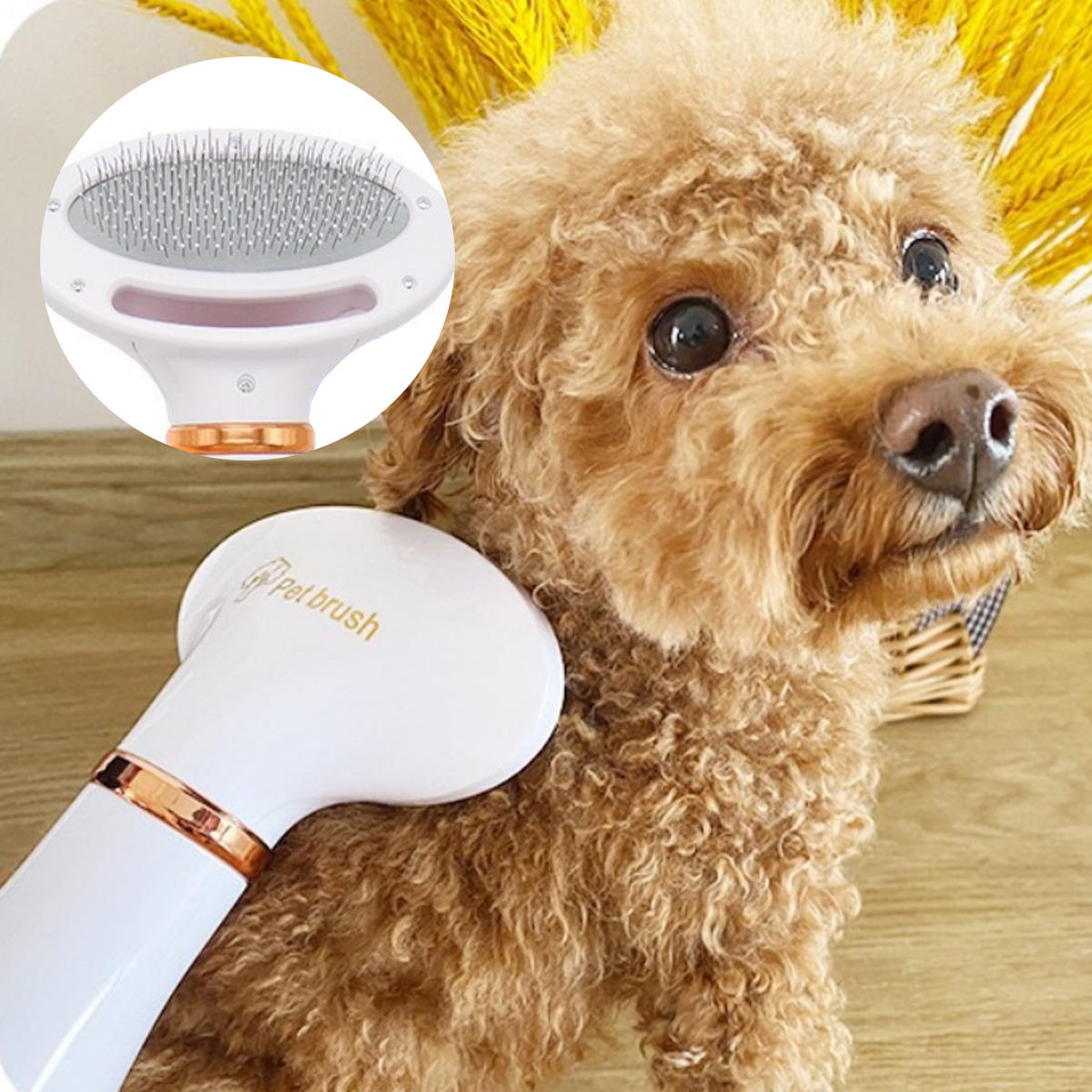 Two-In-One Pet Hot Air Brush