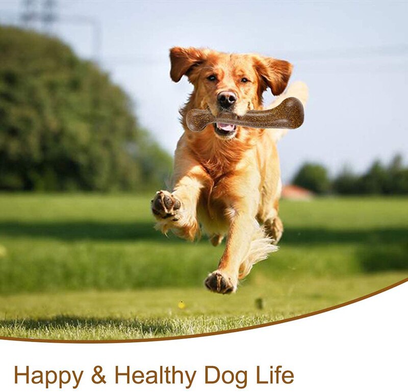 Durable Dog Chew
