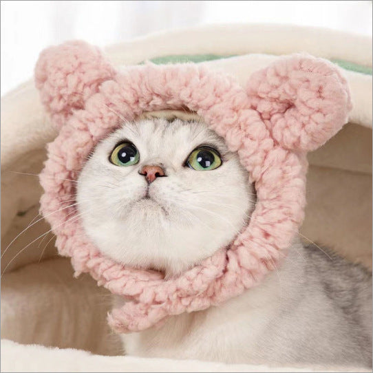 Cute Pet Hats