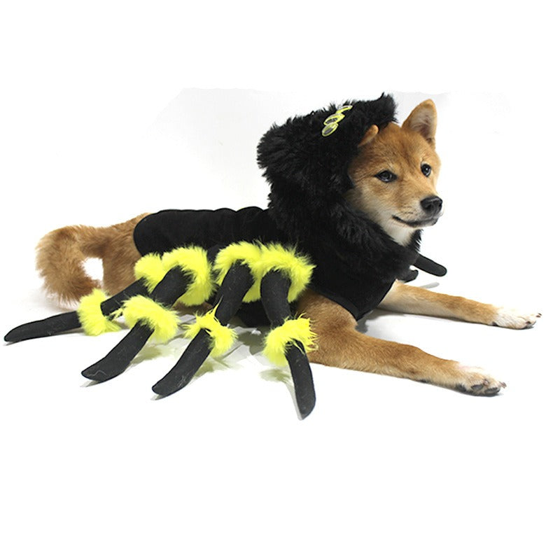 Halloween spider costume